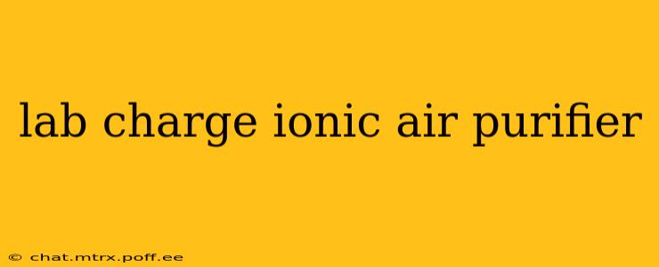 lab charge ionic air purifier
