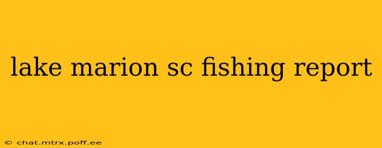 lake marion sc fishing report