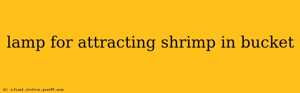 lamp for attracting shrimp in bucket