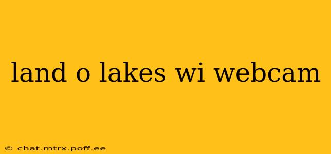 land o lakes wi webcam