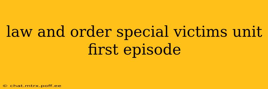 law and order special victims unit first episode