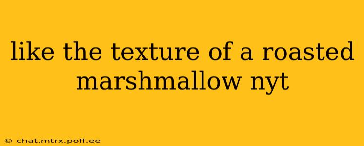 like the texture of a roasted marshmallow nyt
