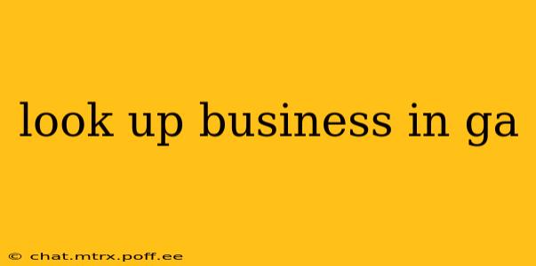 look up business in ga