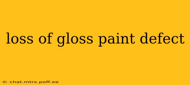 loss of gloss paint defect