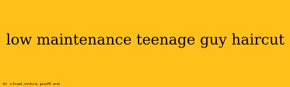 low maintenance teenage guy haircut