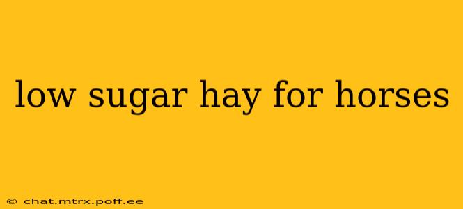 low sugar hay for horses