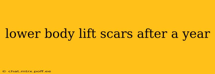 lower body lift scars after a year