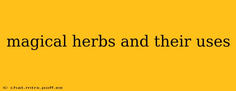 magical herbs and their uses