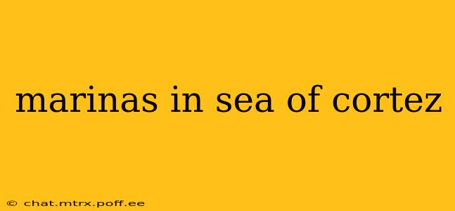 marinas in sea of cortez
