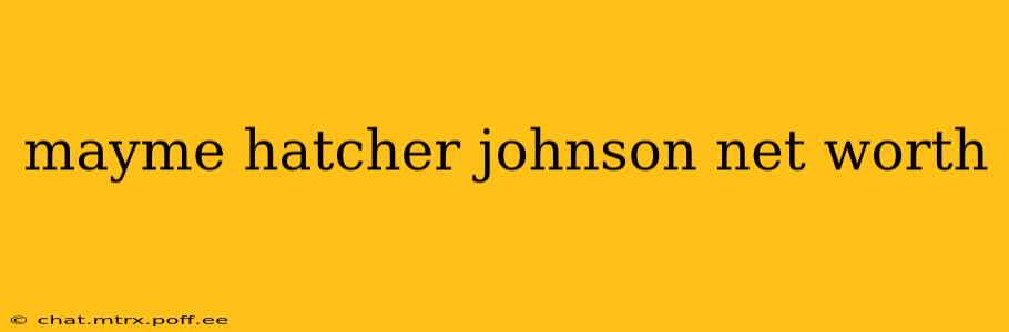 mayme hatcher johnson net worth