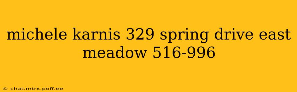 michele karnis 329 spring drive east meadow 516-996 michele karnis 329 spring drive east meadow 516-996