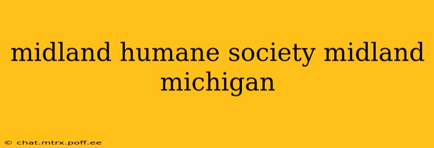 midland humane society midland michigan
