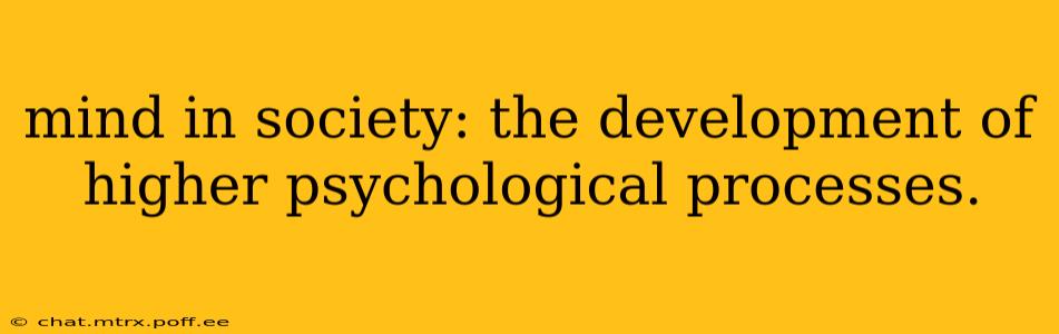 mind in society: the development of higher psychological processes.