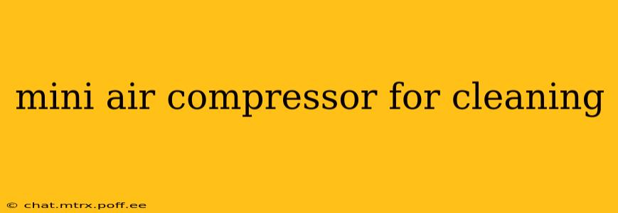 mini air compressor for cleaning