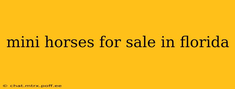 mini horses for sale in florida