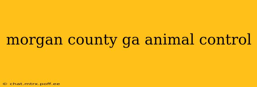 morgan county ga animal control