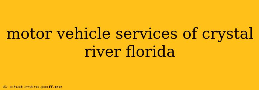 motor vehicle services of crystal river florida