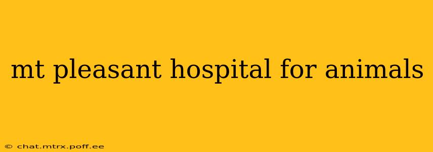 mt pleasant hospital for animals