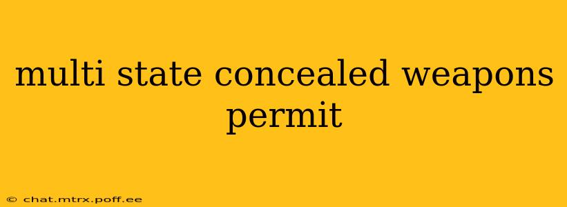 multi state concealed weapons permit