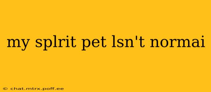 my splrit pet lsn't normai