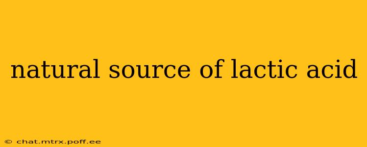 natural source of lactic acid