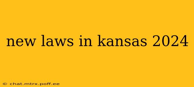 new laws in kansas 2024
