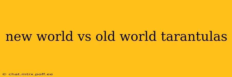 new world vs old world tarantulas