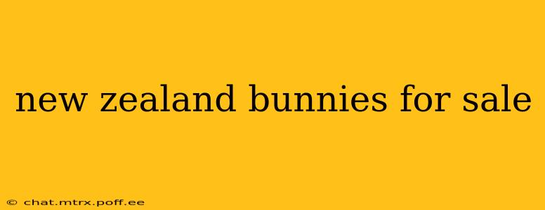 new zealand bunnies for sale