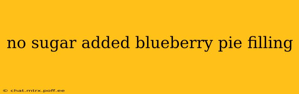 no sugar added blueberry pie filling
