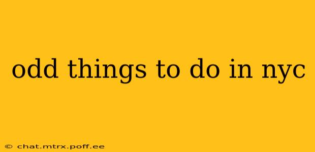 odd things to do in nyc