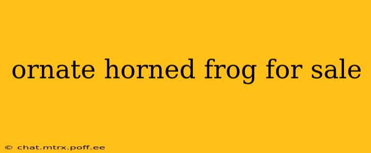 ornate horned frog for sale