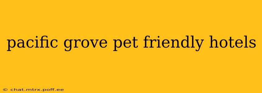 pacific grove pet friendly hotels