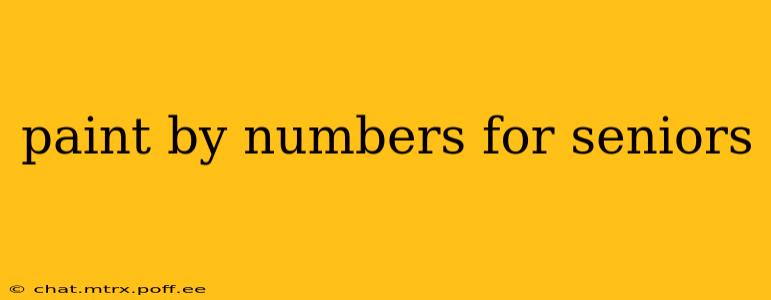 paint by numbers for seniors