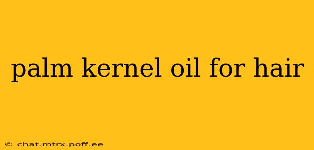 palm kernel oil for hair