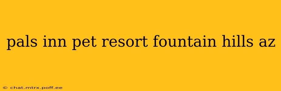 pals inn pet resort fountain hills az