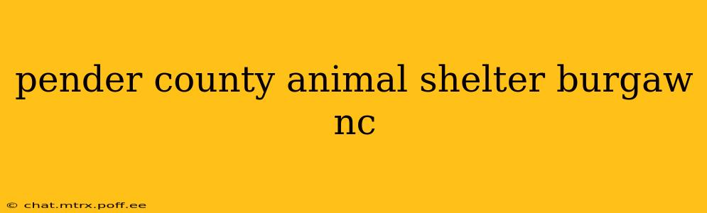 pender county animal shelter burgaw nc