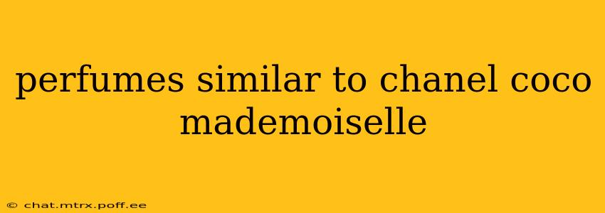 perfumes similar to chanel coco mademoiselle