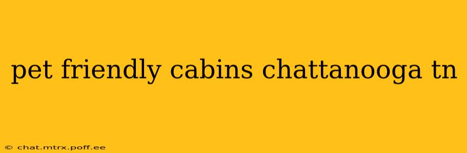 pet friendly cabins chattanooga tn