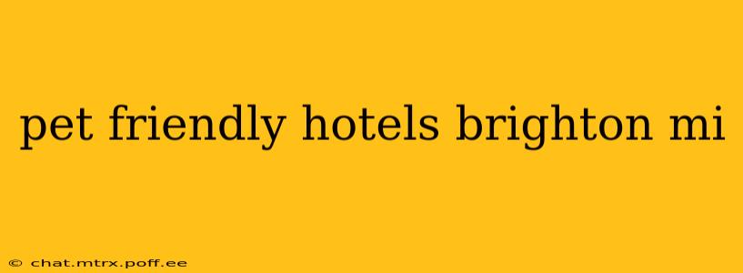 pet friendly hotels brighton mi
