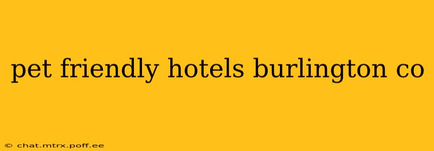 pet friendly hotels burlington co