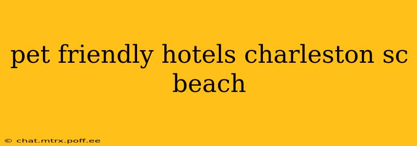 pet friendly hotels charleston sc beach