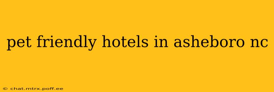 pet friendly hotels in asheboro nc