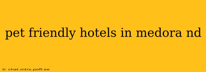pet friendly hotels in medora nd