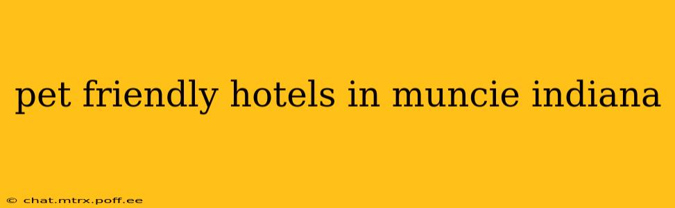 pet friendly hotels in muncie indiana