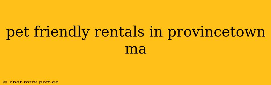 pet friendly rentals in provincetown ma