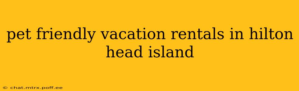 pet friendly vacation rentals in hilton head island