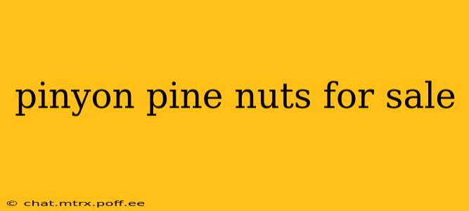 pinyon pine nuts for sale