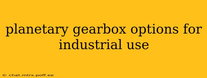 planetary gearbox options for industrial use