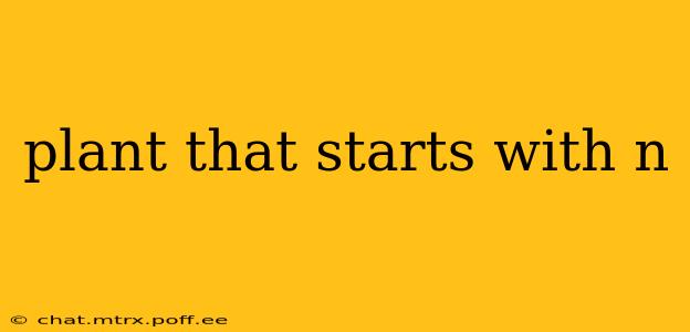 plant that starts with n