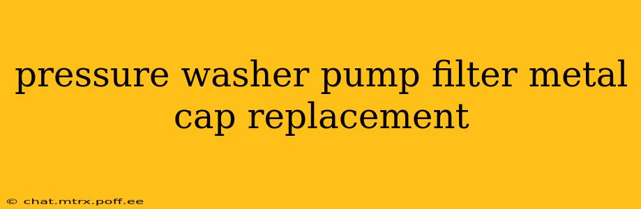 pressure washer pump filter metal cap replacement